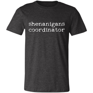 Shenanigans Coordinator Unisex Jersey Short-Sleeve T-Shirt