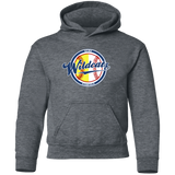 Wildcats LL *YOUTH* Pullover Hoodie (runs small)